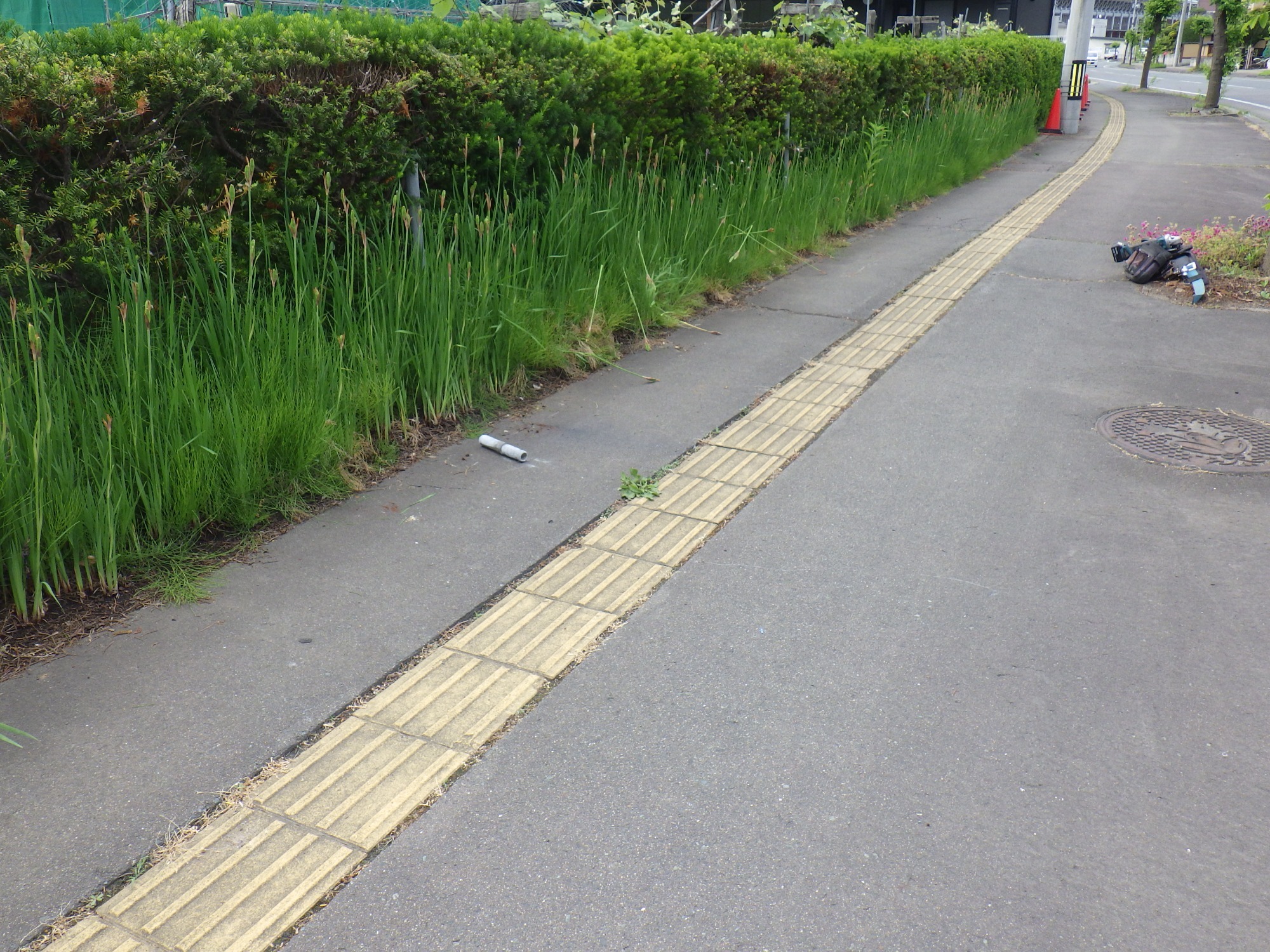 今日の現場
